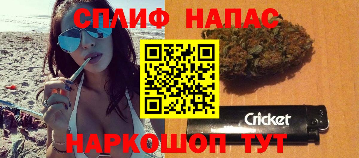 Конопля гибрид Северск